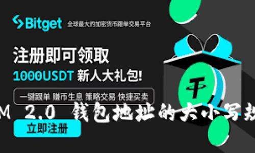 TokenIM 2.0 钱包地址的大小写规范详解