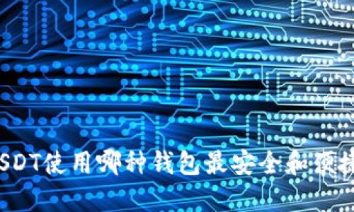 USDT使用哪种钱包最安全和便捷？