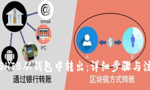 如何将SHIB从钱包中转出：详细步骤与注意事项