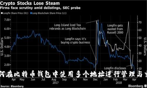 如何在比特币钱包中使用多个地址进行管理与交易