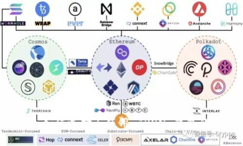 TRX 钱包：如何选择与使用 TRON 钱包的完整指南