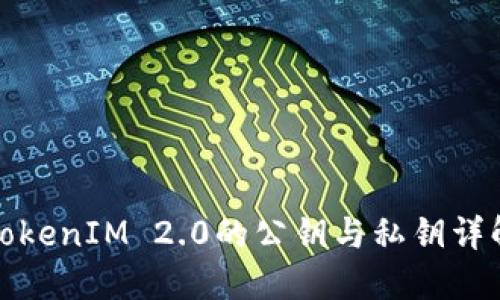 TokenIM 2.0的公钥与私钥详解
