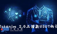 如何在Tokenim 2.0上借款USDT的详细指南