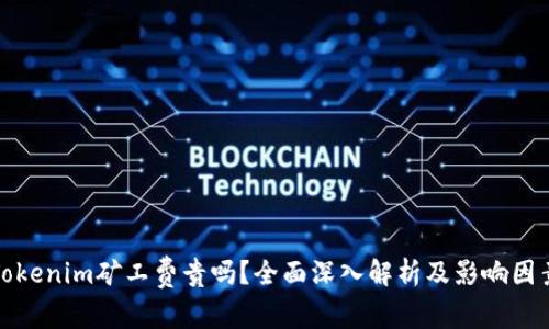 Tokenim矿工费贵吗？全面深入解析及影响因素
