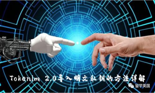 Tokenim 2.0导入明文私钥的方法详解