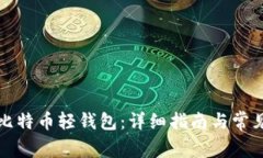 怎样导入比特币轻钱包：详细指南与常见问题解