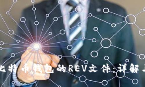 如何使用比特币钱包的REV文件：详解与操作指南