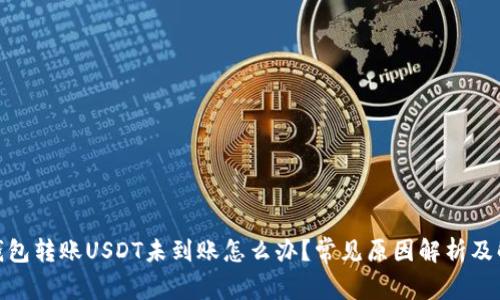 : 货币钱包转账USDT未到账怎么办？常见原因解析及解决方案