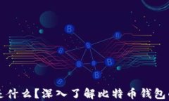 比特币钱包是什么？深入了解比特币钱包的种类