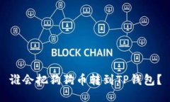 谁会把狗狗币转到TP钱包？