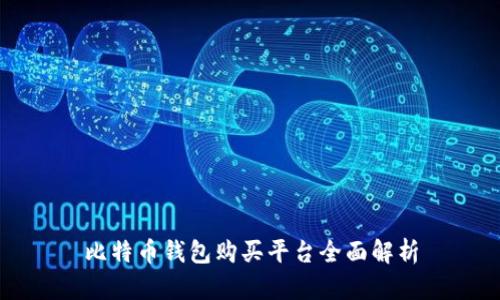 比特币钱包购买平台全面解析