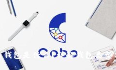 : 比特币钱包是什么？详解钱包类型与安全性