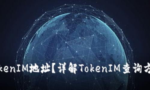 在哪里查看TokenIM地址？详解TokenIM查询方法与相关资源