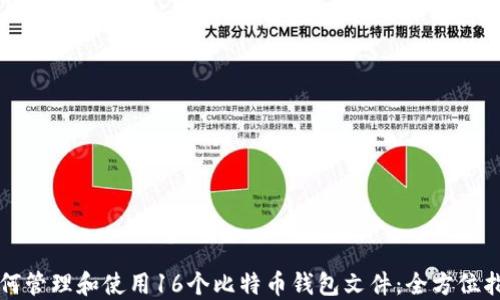 
如何管理和使用16个比特币钱包文件：全方位指南