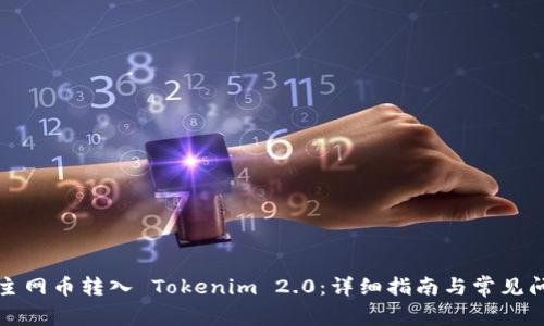 如何将主网币转入 Tokenim 2.0：详细指南与常见问题解答