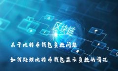 关于比特币钱包负数问题