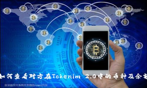 如何查看对方在Tokenim 2.0中的币种及余额