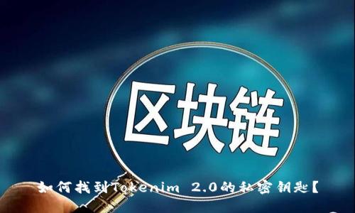 如何找到Tokenim 2.0的私密钥匙？