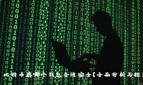 : 比特币存哪个钱包合适安全？全面分析与推荐