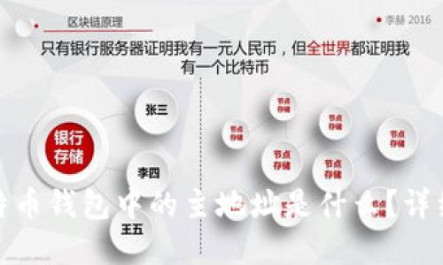 : 比特币钱包中的主地址是什么？详细解读