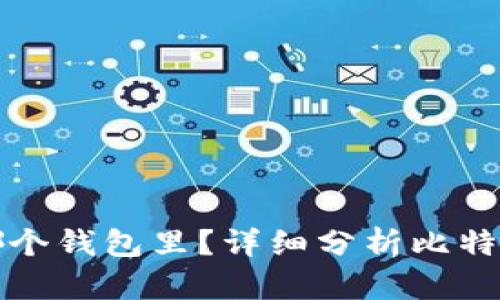 比特币放在哪个钱包里？详细分析比特币钱包的选择