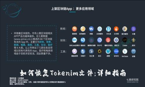 如何恢复Tokenim文件：详细指南