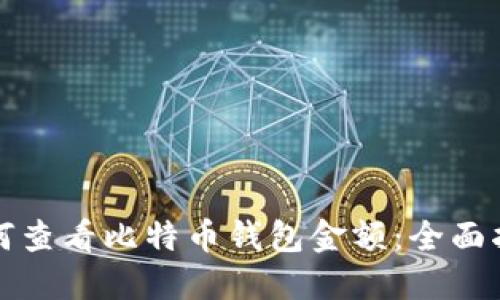 如何查看比特币钱包金额：全面指南