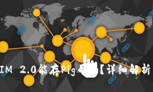 TokenIM 2.0能存Pig币吗？详细解析与指南