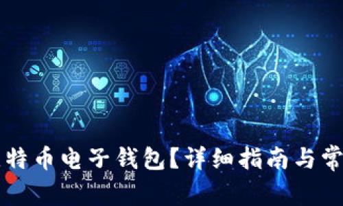 怎么申请比特币电子钱包？详细指南与常见问题解析