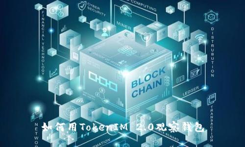 如何用TokenIM 2.0观察钱包