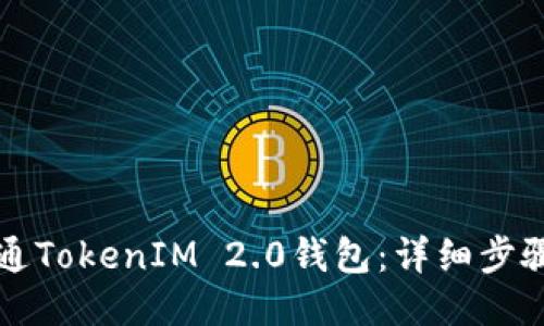 如何开通TokenIM 2.0钱包：详细步骤与指南