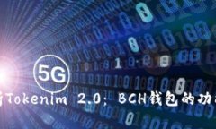 全面解析Tokenim 2.0： BCH钱