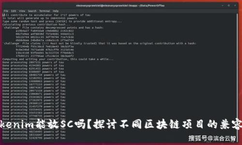 Tokenim能放SC吗？探讨不同区块链项目的兼容性