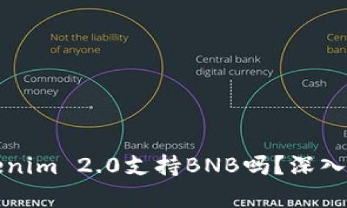 Tokenim 2.0支持BNB吗？深入解析