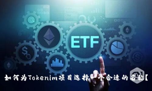 如何为Tokenim项目选择一个合适的名称？